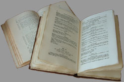 Parish Record Transcripts in a Book